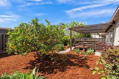 1165 Adams Dr, San Jose, CA 95132 - Photo 20