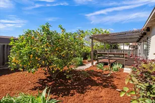 1165 Adams Dr, San Jose, CA 95132 - Photo 20