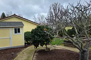 1515 Hamilton Ave, San Jose, CA 95125 - Photo 6