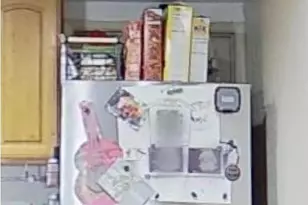 217 Madison Ave, Redwood City, CA 94061 - Photo 16