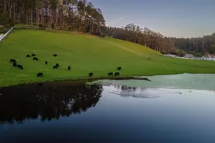 350 6th Ave, Half Moon Bay, CA 94019 - Photo 48