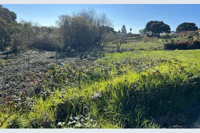 91 Alta Vista Ave, Watsonville, CA 95076 - Photo 4