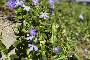 354 San Miguel Canyon Rd, Royal Oaks, CA 95076 - Photo 22