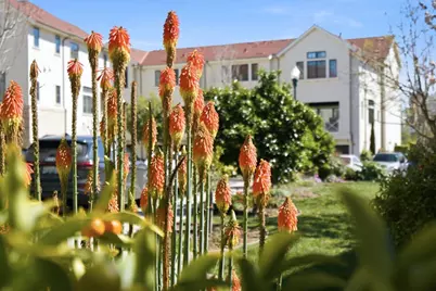 136 Lottie Ln, Campbell, CA 95008 - Photo 60