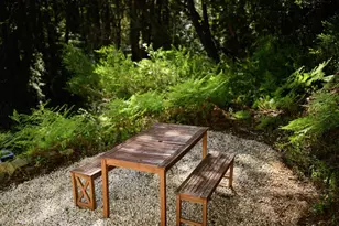 10735 Westwood Rd, Felton, CA 95018 - Photo 84