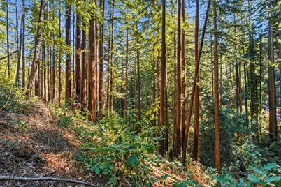 0 Forest Way, Brookdale, CA 95007 - Photo 16