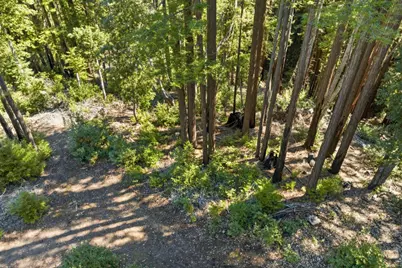 0 Forest Way, Brookdale, CA 95007 - Photo 10