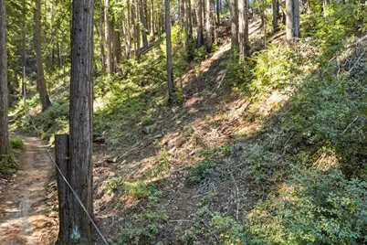 0 Forest Way, Brookdale, CA 95007 - Photo 2