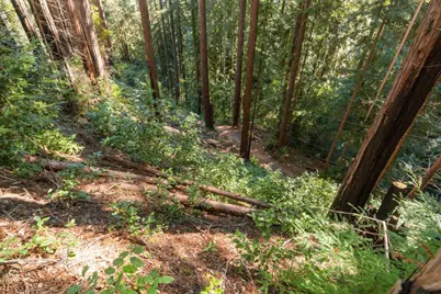 0 Forest Way, Brookdale, CA 95007 - Photo 20