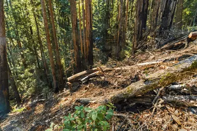 0 Forest Way, Brookdale, CA 95007 - Photo 14