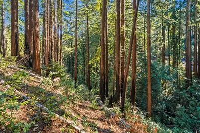 0 Forest Way, Brookdale, CA 95007 - Photo 18