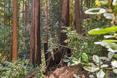 0 Forest Way, Brookdale, CA 95007 - Photo 24