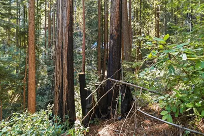 0 Forest Way, Brookdale, CA 95007 - Photo 6