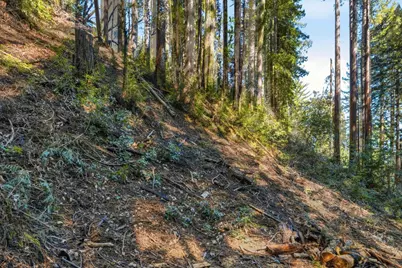 0 Forest Way, Brookdale, CA 95007 - Photo 12