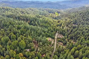 17386 Tressel Pass Rd, Boulder Creek, CA 95006 - Photo 34
