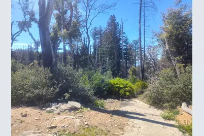 297 Robles Dr, Santa Cruz, CA 95060 - Photo 12
