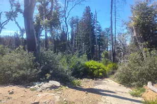 297 Robles Dr, Santa Cruz, CA 95060 - Photo 12