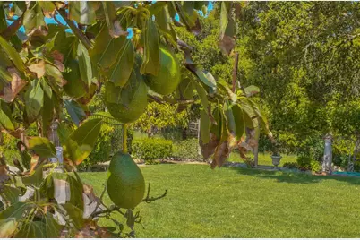 190 San Benancio Rd, Salinas, CA 93908 - Photo 58