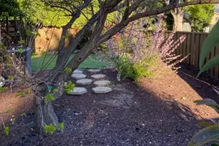 4684 Glenmont Dr, San Jose, CA 95136 - Photo 18