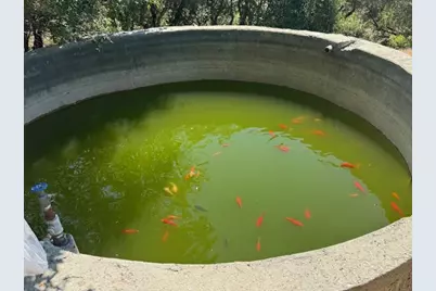 105 Silverline Rd, Los Gatos, CA 95033 - Photo 30