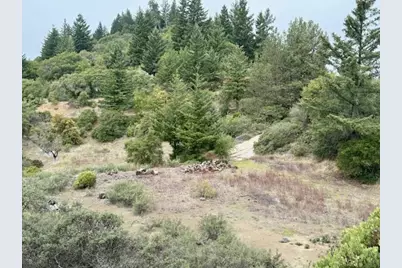 105 Silverline Rd, Los Gatos, CA 95033 - Photo 16