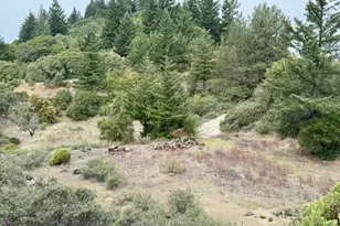 105 Silverline Rd, Los Gatos, CA 95033 - Photo 16