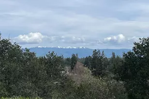 488 Knoll Dr, Los Altos, CA 94024 - Photo 2