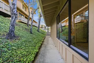 17 Azalea Ln, San Carlos, CA 94070 - Photo 34