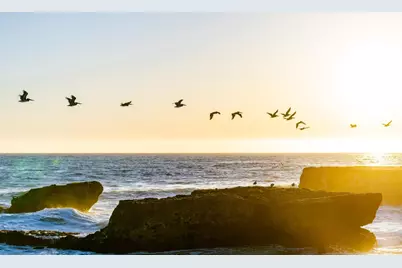 9 Rockview Dr, Santa Cruz, CA 95062 - Photo 62