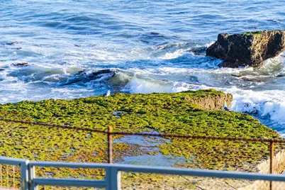 9 Rockview Dr, Santa Cruz, CA 95062 - Photo 60