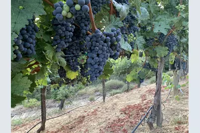 25220 Quail Ridge Rd, Los Gatos, CA 95033 - Photo 92