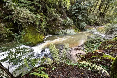 15194 Big Basin Way, Boulder Creek, CA 95006 - Photo 64