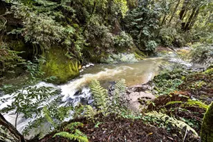 15194 Big Basin Wy, Boulder Creek, CA 95006 - Photo 64