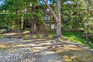 3314 Brittan Ave 1, San Carlos, CA 94070 - Photo 1