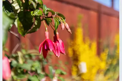 239 Prague St, San Mateo, CA 94401 - Photo 48