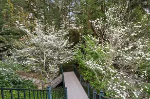 113 Lauren Cir, Scotts Valley, CA 95066 - Photo 128