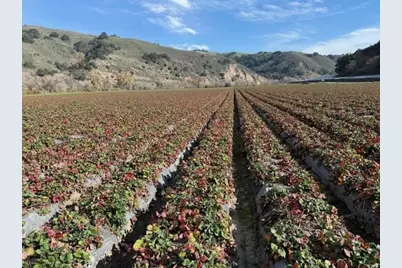 0 Murphy Hill Rd, Watsonville, CA 95076 - Photo 10