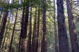 155 Native Sons Rd, Woodside, CA 94062 - Photo 1