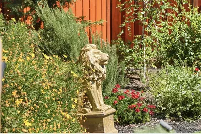 533 Tigerwood Way, San Jose, CA 95111 - Photo 28