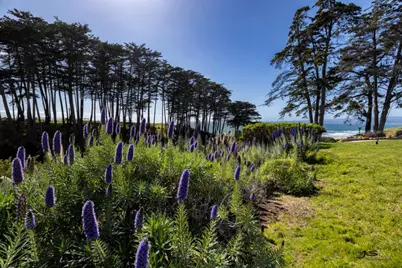 302 Seascape Resort Dr, Aptos, CA 95003 - Photo 18