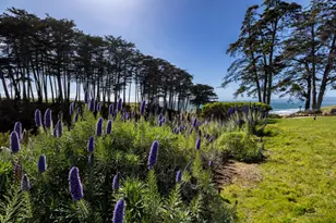 302 Seascape Resort Dr, Aptos, CA 95003 - Photo 18