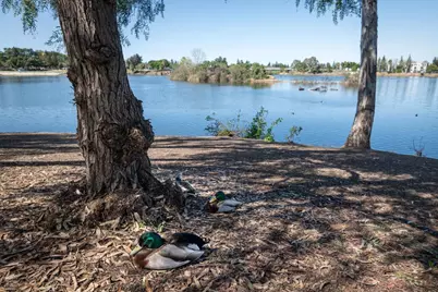 4970 Cherry Ave 115, San Jose, CA 95118 - Photo 28