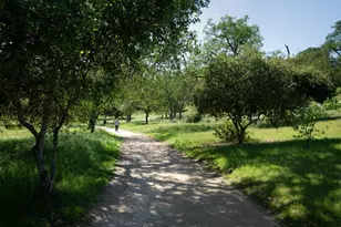 4970 Cherry Ave 115, San Jose, CA 95118 - Photo 28