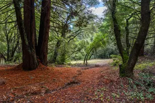 188 Kelly Ln, Santa Cruz, CA 95060 - Photo 68