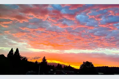 903 Lundy Ln, Scotts Valley, CA 95066 - Photo 30