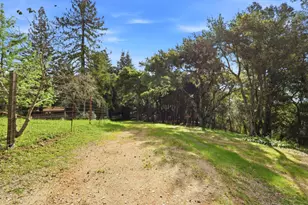 601 Old Hazel Dell Rd, Watsonville, CA 95076 - Photo 74