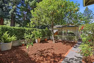 203 Alexander Ave, Los Gatos, CA 95030 - Photo 46