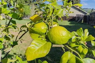 3585 Viola Dr, Aromas, CA 95004 - Photo 34