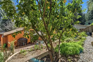 10931 Sequoia Ave, Felton, CA 95018 - Photo 46