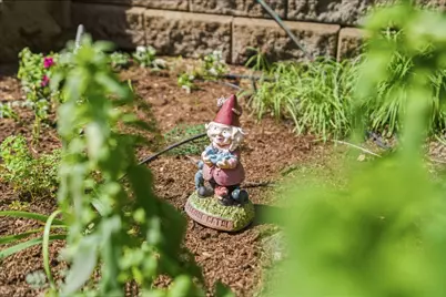 10931 Sequoia Ave, Felton, CA 95018 - Photo 38